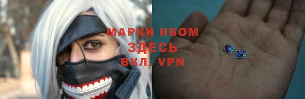 ГАЛЛЮЦИНОГЕННЫЕ ГРИБЫ Абаза