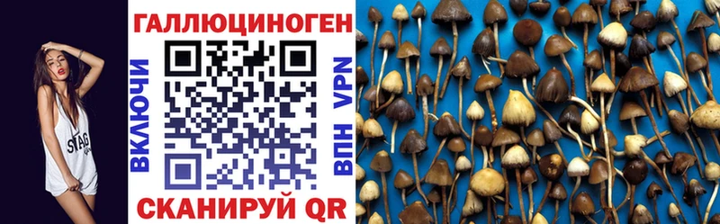 что такое наркотик Трубчевск Галлюциногенные грибы GOLDEN TEACHER